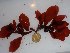  ( - GWS027409)  @11 [ ] Unspecified (default): All Rights Reserved  Unspecified Unspecified