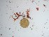 ( - GWS027448)  @11 [ ] Unspecified (default): All Rights Reserved  Unspecified Unspecified