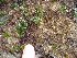  ( - GWS027504)  @11 [ ] Unspecified (default): All Rights Reserved  Unspecified Unspecified