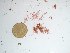  ( - GWS027531)  @11 [ ] Unspecified (default): All Rights Reserved  Unspecified Unspecified