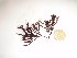  ( - GWS027835)  @11 [ ] Unspecified (default): All Rights Reserved  Unspecified Unspecified