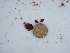  ( - GWS027951)  @11 [ ] Unspecified (default): All Rights Reserved  Unspecified Unspecified