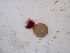  ( - GWS028157)  @11 [ ] Unspecified (default): All Rights Reserved  Unspecified Unspecified