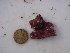  ( - GWS028335)  @11 [ ] Unspecified (default): All Rights Reserved  Unspecified Unspecified