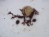  ( - GWS028416)  @11 [ ] Unspecified (default): All Rights Reserved  Unspecified Unspecified