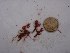  ( - GWS028568)  @11 [ ] Unspecified (default): All Rights Reserved  Unspecified Unspecified