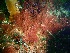  ( - GWS031215)  @11 [ ] Unspecified (default): All Rights Reserved  Unspecified Unspecified