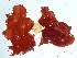  ( - GWS034852)  @11 [ ] Unspecified (default): All Rights Reserved  Unspecified Unspecified