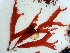  ( - GWS034867)  @11 [ ] Unspecified (default): All Rights Reserved  Unspecified Unspecified