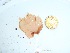  ( - GWS035352)  @11 [ ] Unspecified (default): All Rights Reserved  Unspecified Unspecified