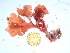  ( - GWS035387)  @11 [ ] Unspecified (default): All Rights Reserved  Unspecified Unspecified