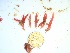  ( - GWS035396)  @11 [ ] Unspecified (default): All Rights Reserved  Unspecified Unspecified