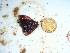  ( - GWS035405)  @11 [ ] Unspecified (default): All Rights Reserved  Unspecified Unspecified