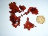  ( - GWS035600)  @11 [ ] Unspecified (default): All Rights Reserved  Unspecified Unspecified