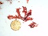  (Phycodrys rossica - GWS035659)  @11 [ ] Unspecified (default): All Rights Reserved  Unspecified Unspecified