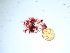  ( - GWS035751)  @11 [ ] Unspecified (default): All Rights Reserved  Unspecified Unspecified