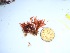  ( - GWS035752)  @11 [ ] Unspecified (default): All Rights Reserved  Unspecified Unspecified