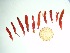  ( - GWS035798)  @11 [ ] Unspecified (default): All Rights Reserved  Unspecified Unspecified