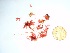  ( - GWS035814)  @11 [ ] Unspecified (default): All Rights Reserved  Unspecified Unspecified
