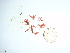 ( - GWS036068)  @11 [ ] Unspecified (default): All Rights Reserved  Unspecified Unspecified