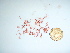  ( - GWS036069)  @11 [ ] Unspecified (default): All Rights Reserved  Unspecified Unspecified