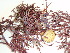  ( - GWS036257)  @11 [ ] Unspecified (default): All Rights Reserved  Unspecified Unspecified