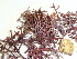 ( - GWS036258)  @11 [ ] Unspecified (default): All Rights Reserved  Unspecified Unspecified