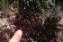  ( - GWS036368)  @11 [ ] Unspecified (default): All Rights Reserved  Unspecified Unspecified