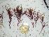 ( - GWS036494)  @11 [ ] Unspecified (default): All Rights Reserved  Unspecified Unspecified