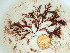  ( - GWS036724)  @11 [ ] Unspecified (default): All Rights Reserved  Unspecified Unspecified