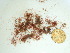  ( - GWS036757)  @11 [ ] Unspecified (default): All Rights Reserved  Unspecified Unspecified