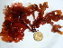  ( - GWS036760)  @11 [ ] Unspecified (default): All Rights Reserved  Unspecified Unspecified
