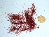  ( - GWS036875)  @11 [ ] Unspecified (default): All Rights Reserved  Unspecified Unspecified