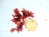  ( - GWS036883)  @11 [ ] Unspecified (default): All Rights Reserved  Unspecified Unspecified