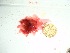  ( - GWS037720)  @11 [ ] Unspecified (default): All Rights Reserved  Unspecified Unspecified