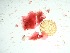  ( - GWS037744)  @11 [ ] Unspecified (default): All Rights Reserved  Unspecified Unspecified
