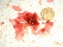  ( - GWS037811)  @11 [ ] Unspecified (default): All Rights Reserved  Unspecified Unspecified