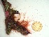  ( - GWS037849)  @11 [ ] Unspecified (default): All Rights Reserved  Unspecified Unspecified