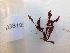  ( - GWS038101)  @11 [ ] Unspecified (default): All Rights Reserved  Unspecified Unspecified