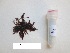 ( - GWS038139)  @11 [ ] Unspecified (default): All Rights Reserved  Unspecified Unspecified