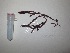  ( - GWS038153)  @11 [ ] Unspecified (default): All Rights Reserved  Unspecified Unspecified