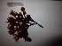 ( - GWS038158)  @11 [ ] Unspecified (default): All Rights Reserved  Unspecified Unspecified