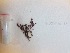  ( - GWS038172)  @11 [ ] Unspecified (default): All Rights Reserved  Unspecified Unspecified
