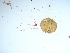  ( - GWS038406)  @11 [ ] Unspecified (default): All Rights Reserved  Unspecified Unspecified