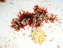  ( - GWS038414)  @11 [ ] Unspecified (default): All Rights Reserved  Unspecified Unspecified