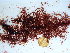  ( - GWS038424)  @11 [ ] Unspecified (default): All Rights Reserved  Unspecified Unspecified