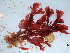  ( - GWS038442)  @11 [ ] Unspecified (default): All Rights Reserved  Unspecified Unspecified
