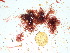  ( - GWS038461)  @11 [ ] Unspecified (default): All Rights Reserved  Unspecified Unspecified