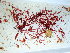 ( - GWS038468)  @11 [ ] Unspecified (default): All Rights Reserved  Unspecified Unspecified