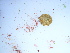  ( - GWS038484)  @11 [ ] Unspecified (default): All Rights Reserved  Unspecified Unspecified